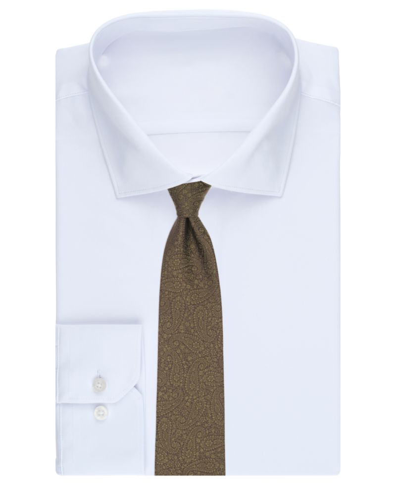 Men's Cottage Paisley Pattern Classic Tie