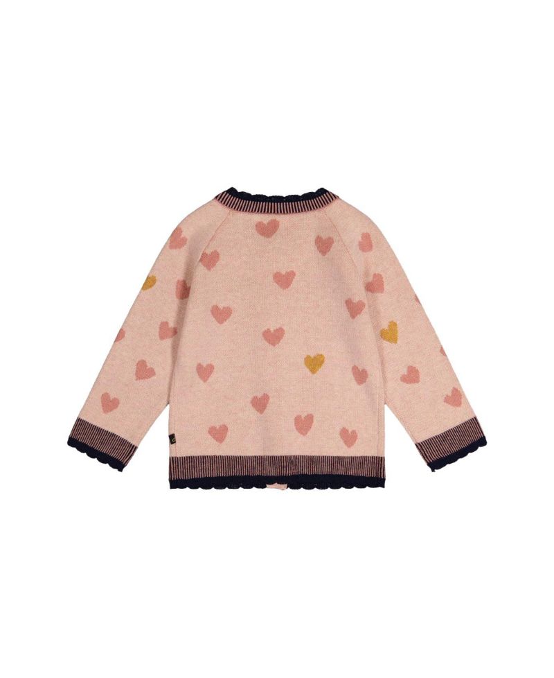 Little and Big Girl (6-8) Knitted Jacquard Cardigan