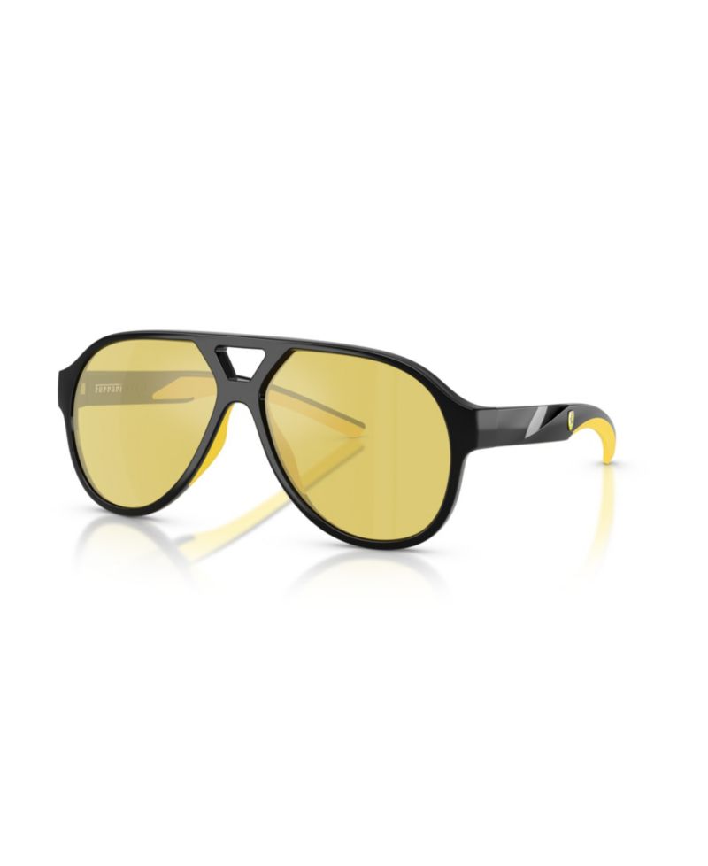 Unisex Sunglasses, FZ6014U