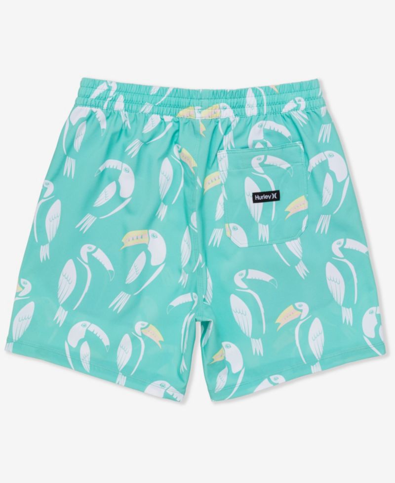 Men's Cannonball Volley Boardshorts