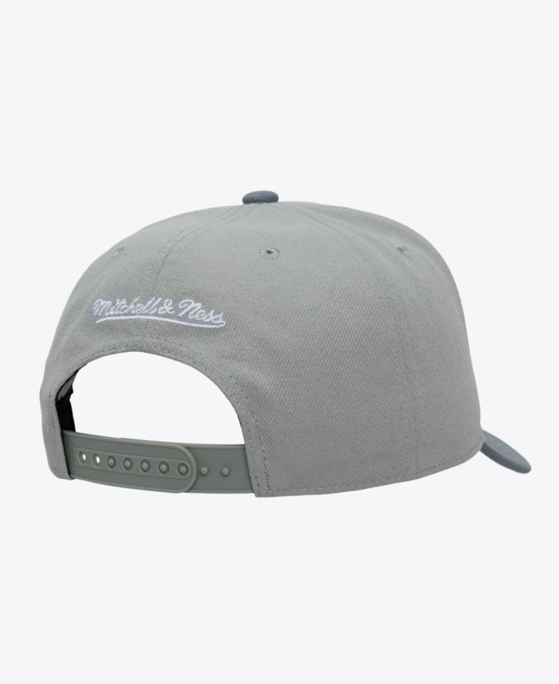 Men's Gray Denver Nuggets Thunderstorm Head Coach Pro Crown Snapback Hat