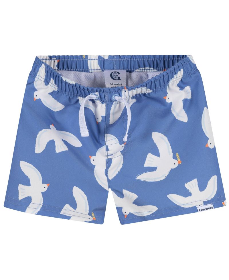 Toddler Boys 2-Piece Rashguard and Trunks Set