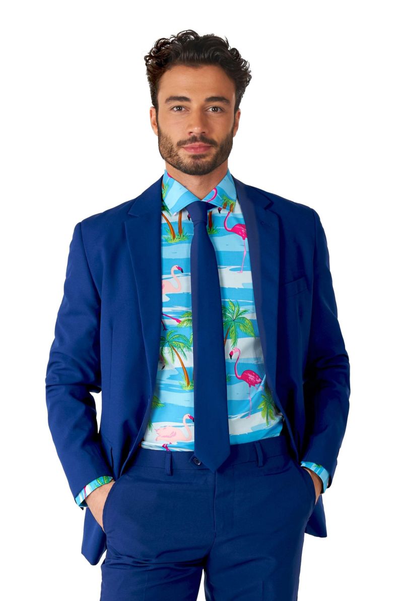 Men's SHIRT LS Flaminguy