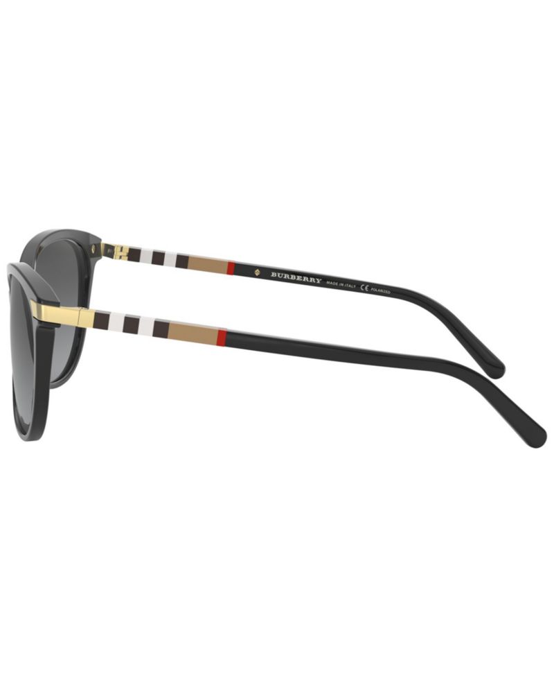 Polarized Sunglasses, BE4216