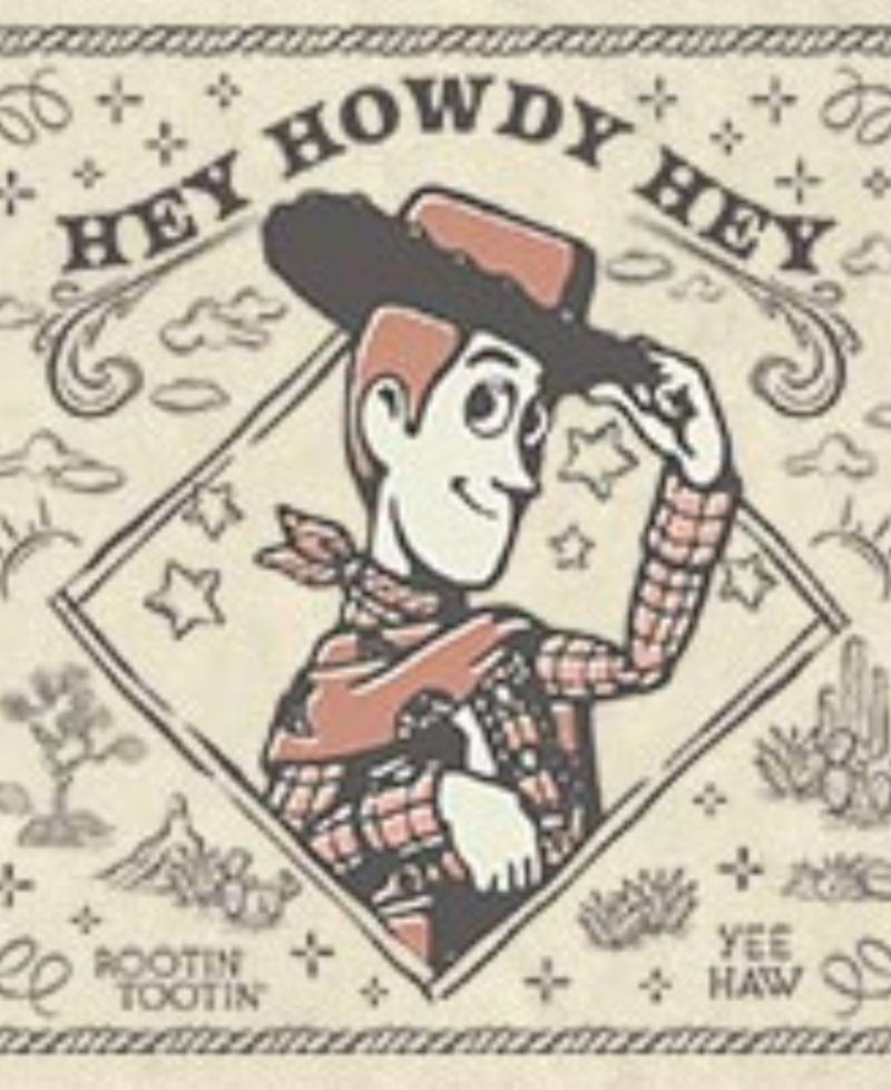 Men's Disney Pixar Toy Story Woody Wild West Wanted Poster Graphic T-Shirt
