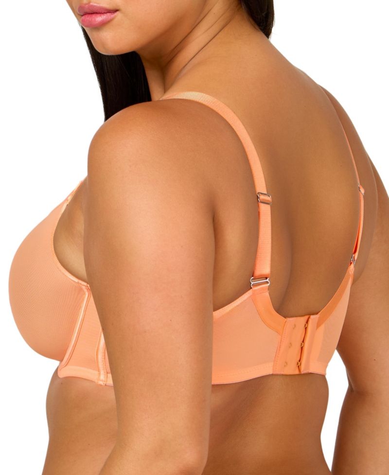 Women's Sheer Mesh Full Coverage Unlined Underwire Bra