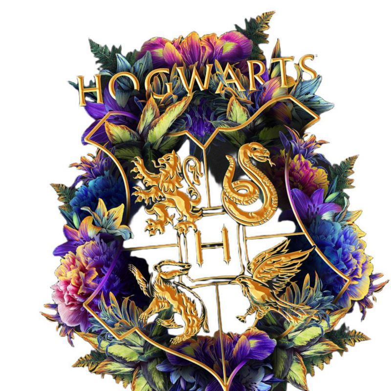 Men's Hogwarts Colorful Floral Crest T Shirt