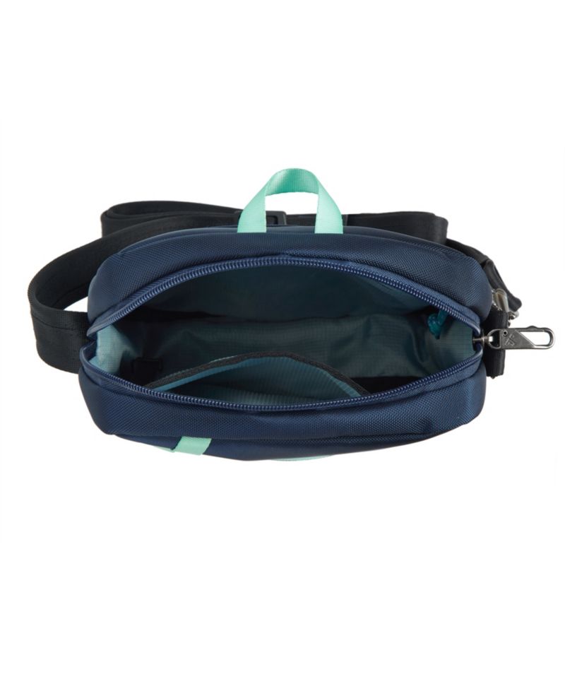 Mini Crossbody