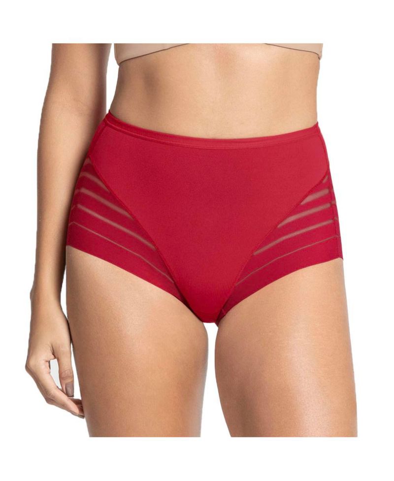 Women's Lace Stripe Undetectable Classic Shaper Panty 012903