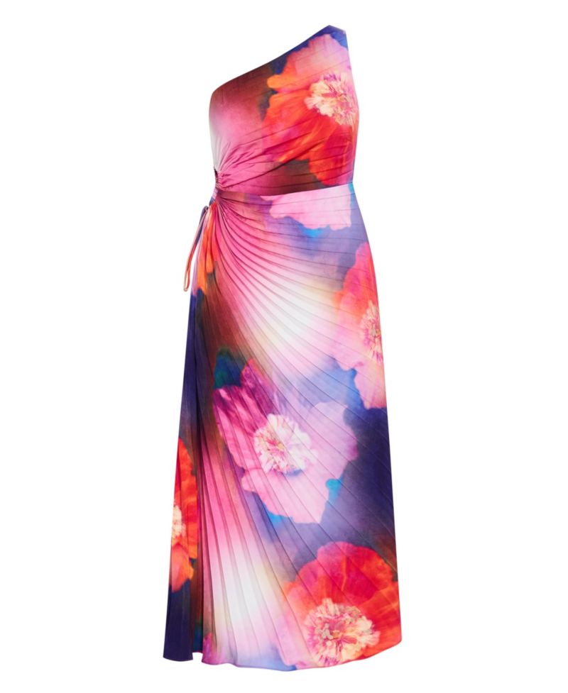 Women's Firework Print Pleat Maxi Dress