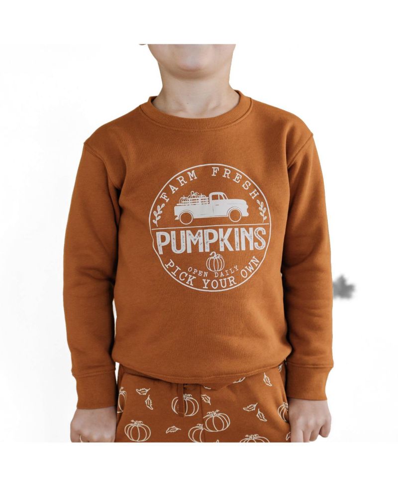 Big Boys Farm Fresh Pumpkins Sweatshirt