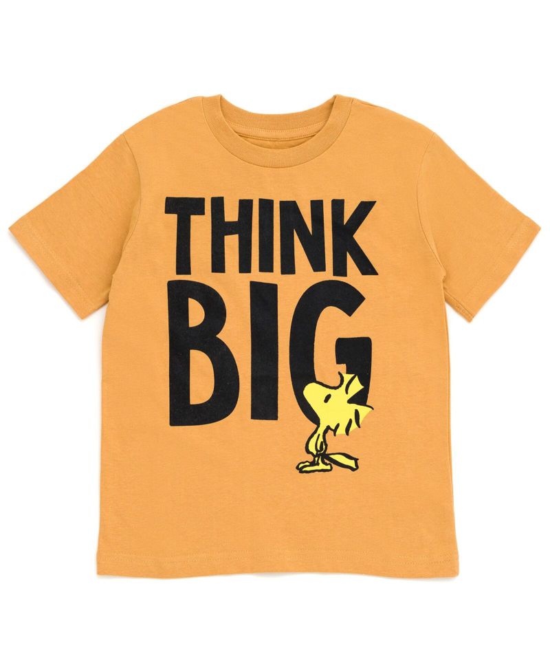 Toddler Boys Woodstock Snoopy Charlie Brown 3 Pack T-Shirts