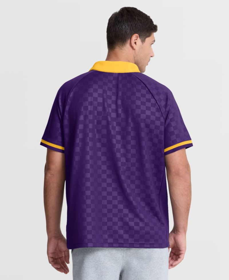 Men's Purple/Gold Minnesota Vikings Homerun Raglan V-Neck Polo Shirt