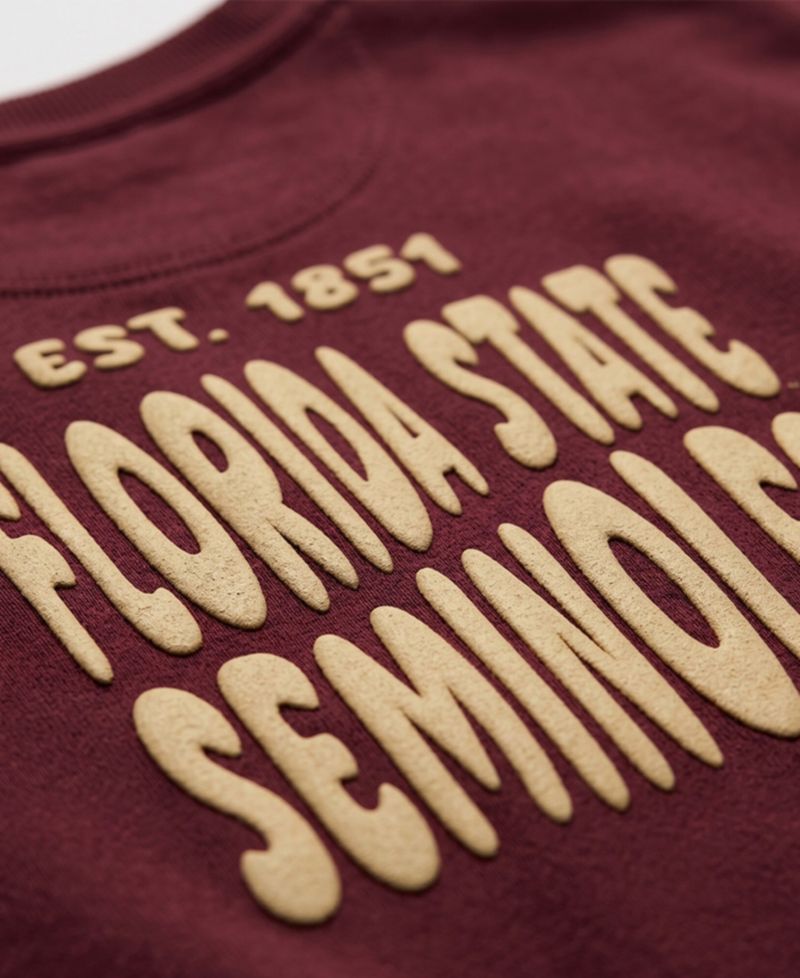 Women's Garnet Florida State Seminoles Cloud Sweatshirt