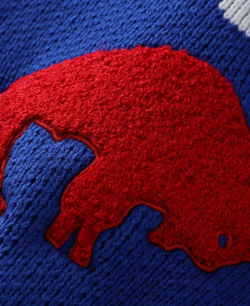 Men's Royal Buffalo Bills Head Coach Sweater