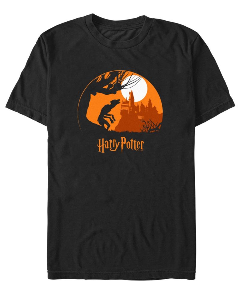 Men's Harry Potter Deathly Hallows 2 Graphic T-Shirt