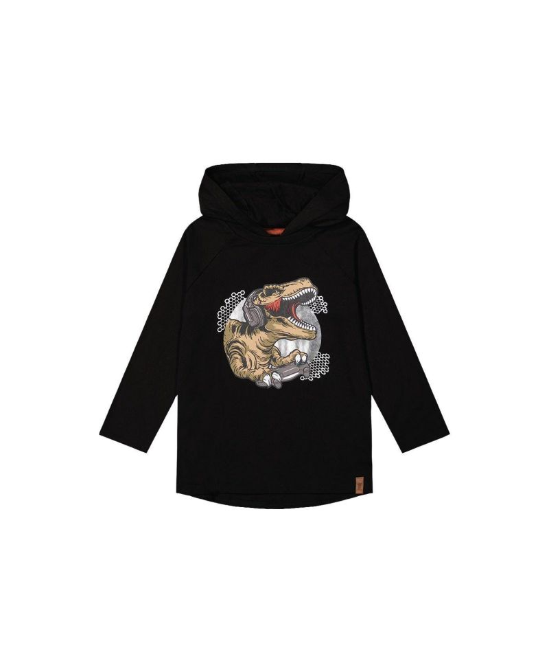 Little and Big Boy 6-12 Raglan Hooded T-Shirt