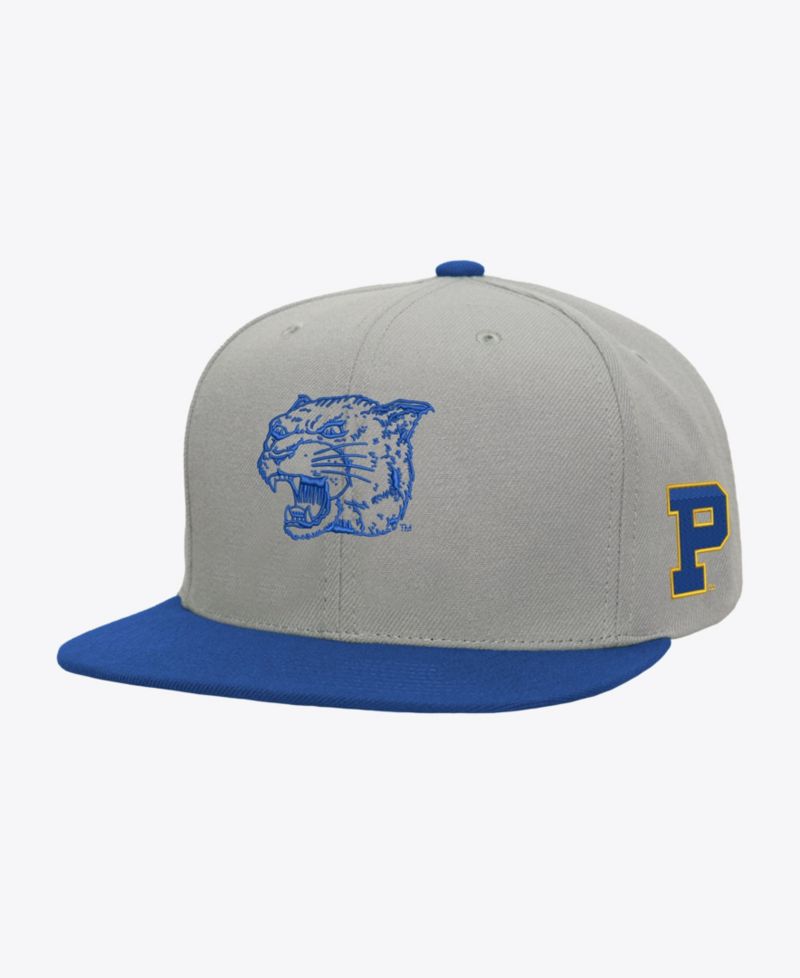 Men's Gray/Royal Pitt Panthers Plaid OG Snapback Hat