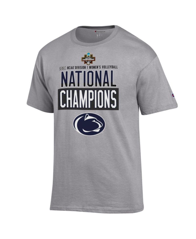 Men's Gray Penn State Nittany Lions 2024 NCAA Women's Volleyball National Champions Locker Room T-Shirt
