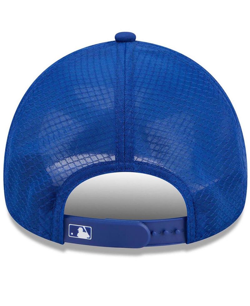 Men's Royal New York Mets 2026 Batting Practice Alternate Apex 9FORTY Adjustable Hat