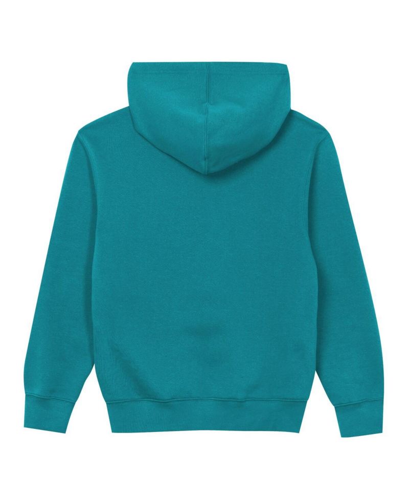Toddler Aqua Miami Dolphins Back to Basics Hoodie