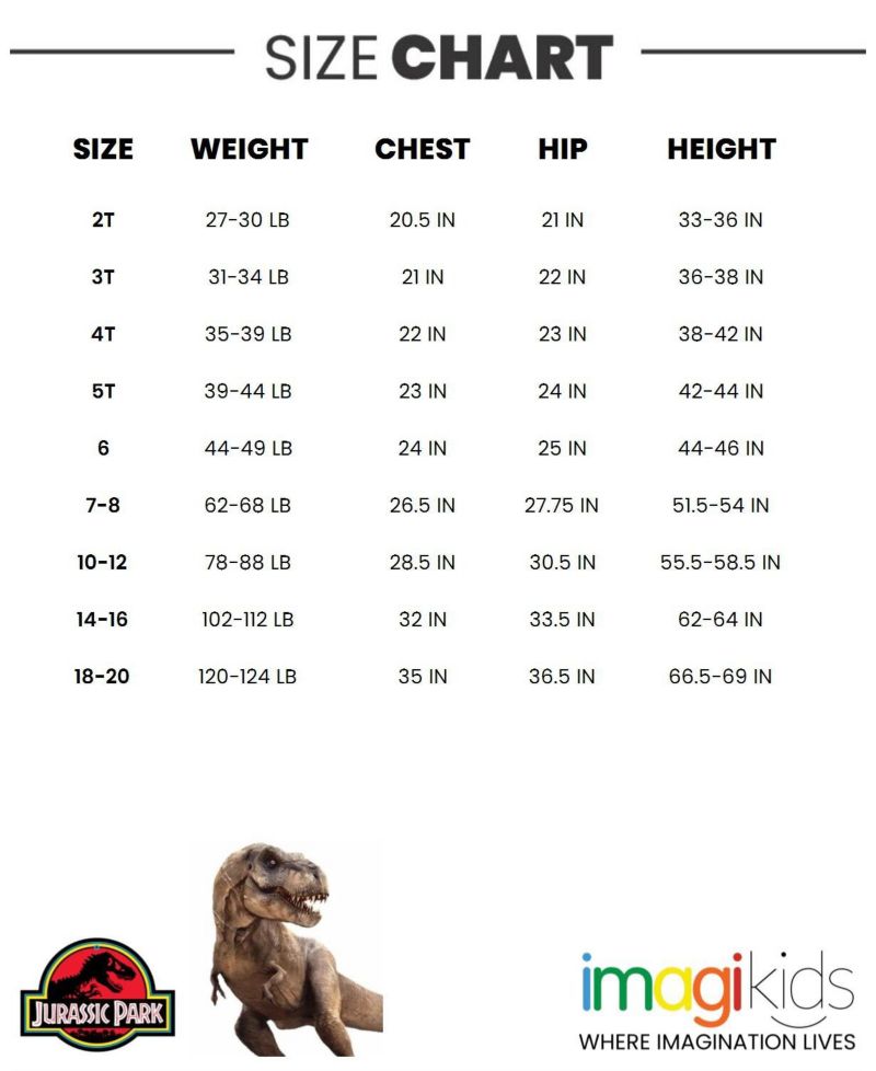Toddler Boys Dinosaur T-Rex Fleece Pullover Hoodie to