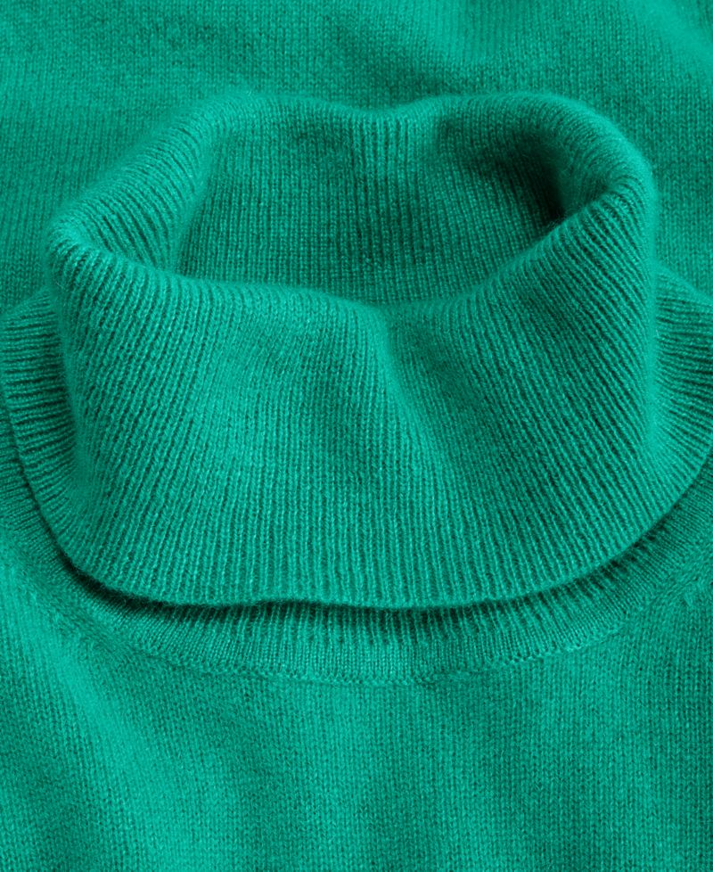 Petite Cashmere Turtleneck Sweater