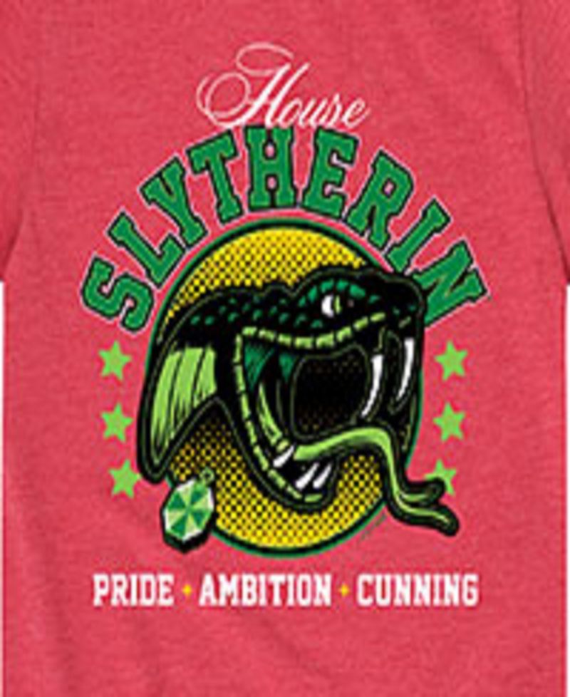 Big Boys Harry Potter Slytherin Graphic Tee