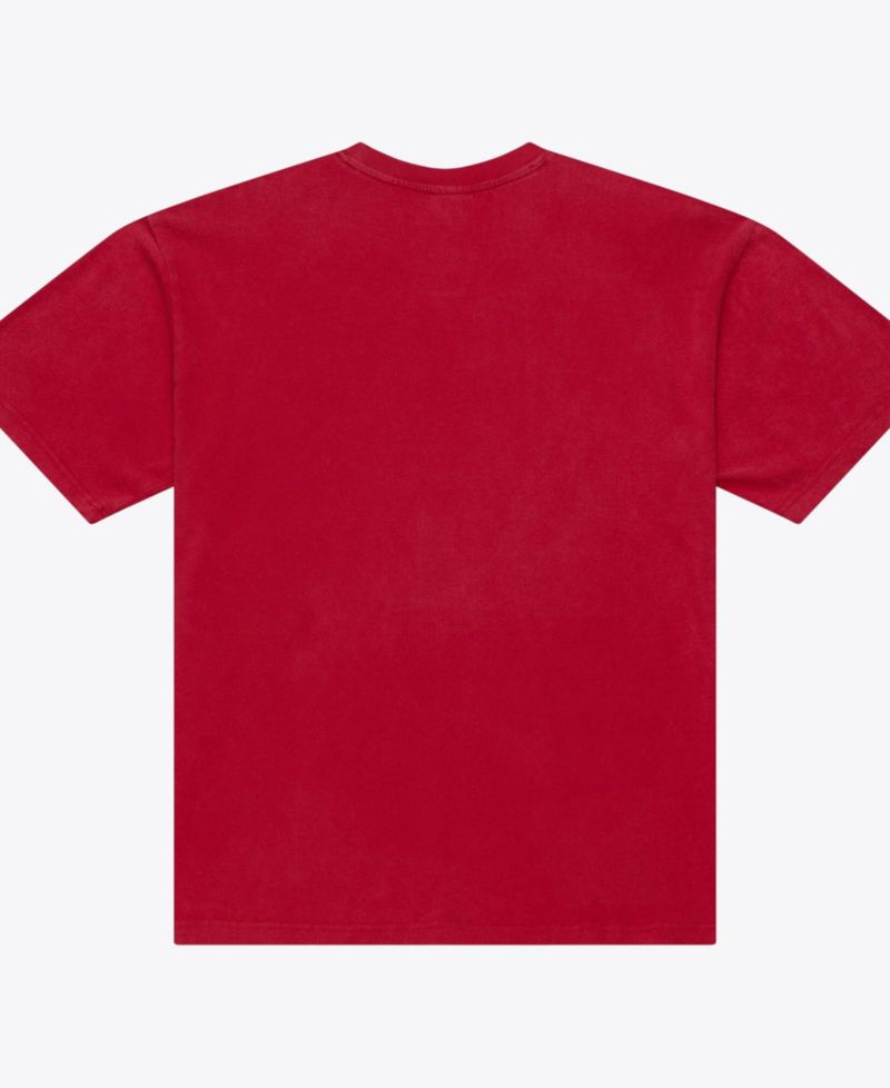 Men's Ohio State Buckeyes Core Icon T-Shirt