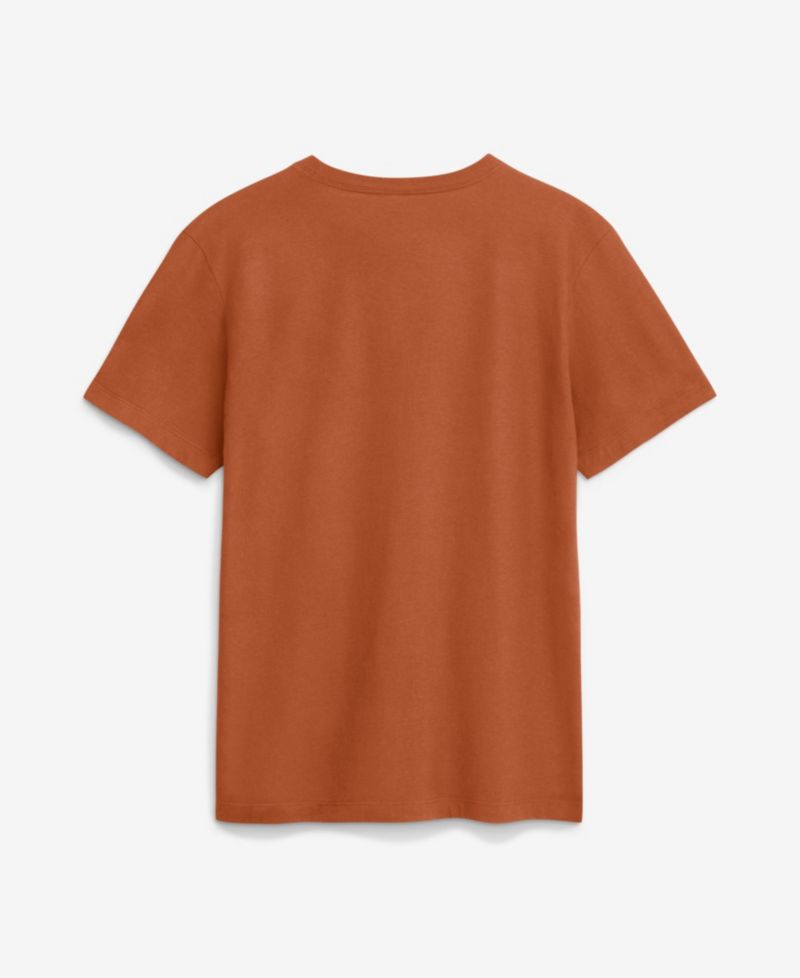 Men's Texas Longhorns Texas Sideline T-Shirt