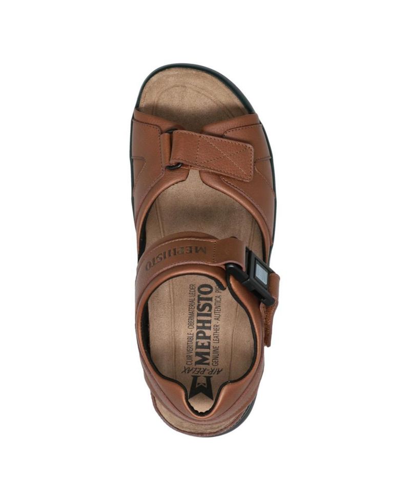 Men's Shark Fit Chestnut Nevada Sandal