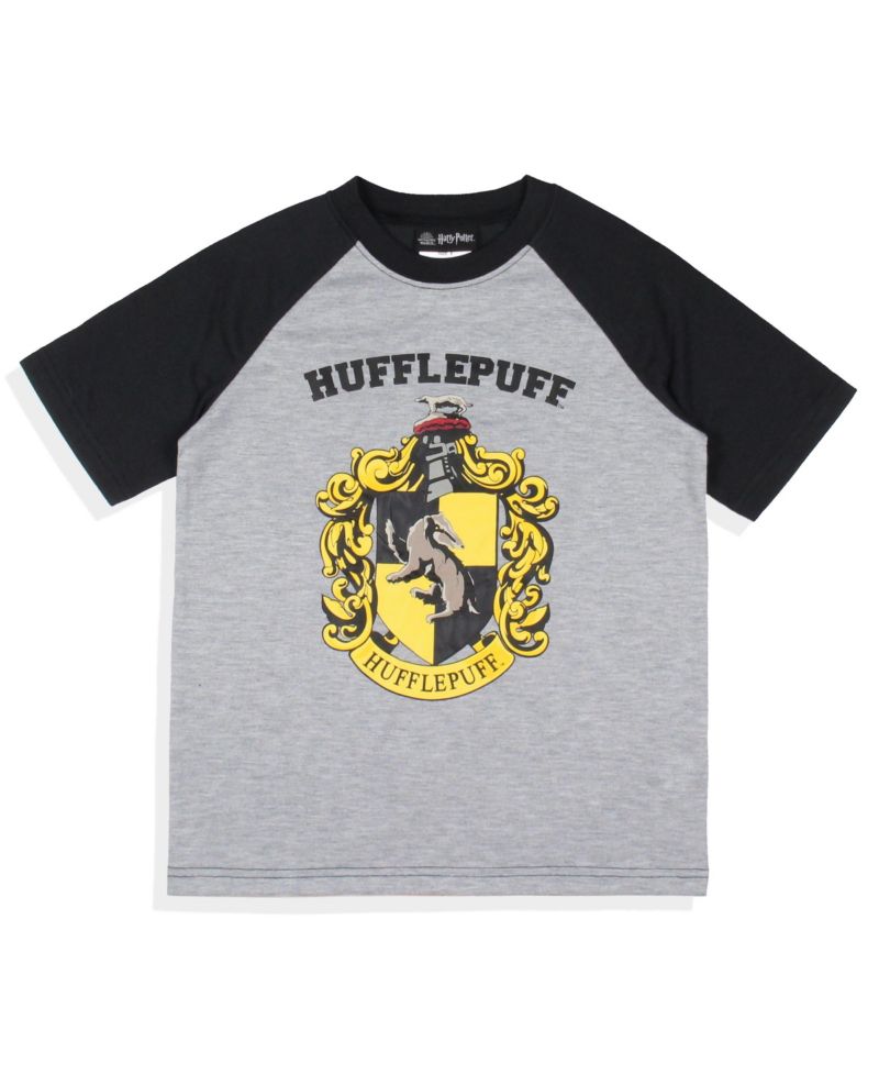 Boys' Hogwarts Castle All Houses Kids 2 Piece Raglan Pajama Set