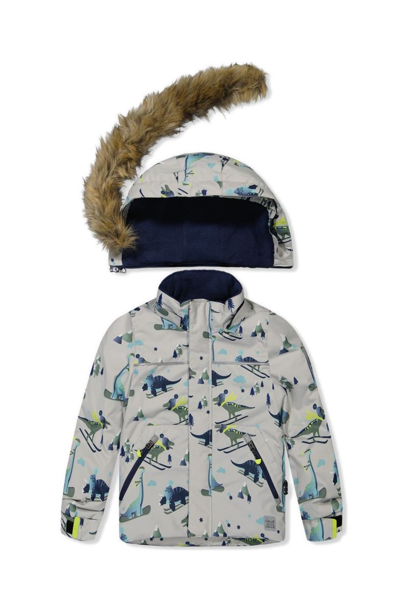 Little Boys 6-8 Two Piece Discover Snowsuit Grey Skiing Dinosaur Print