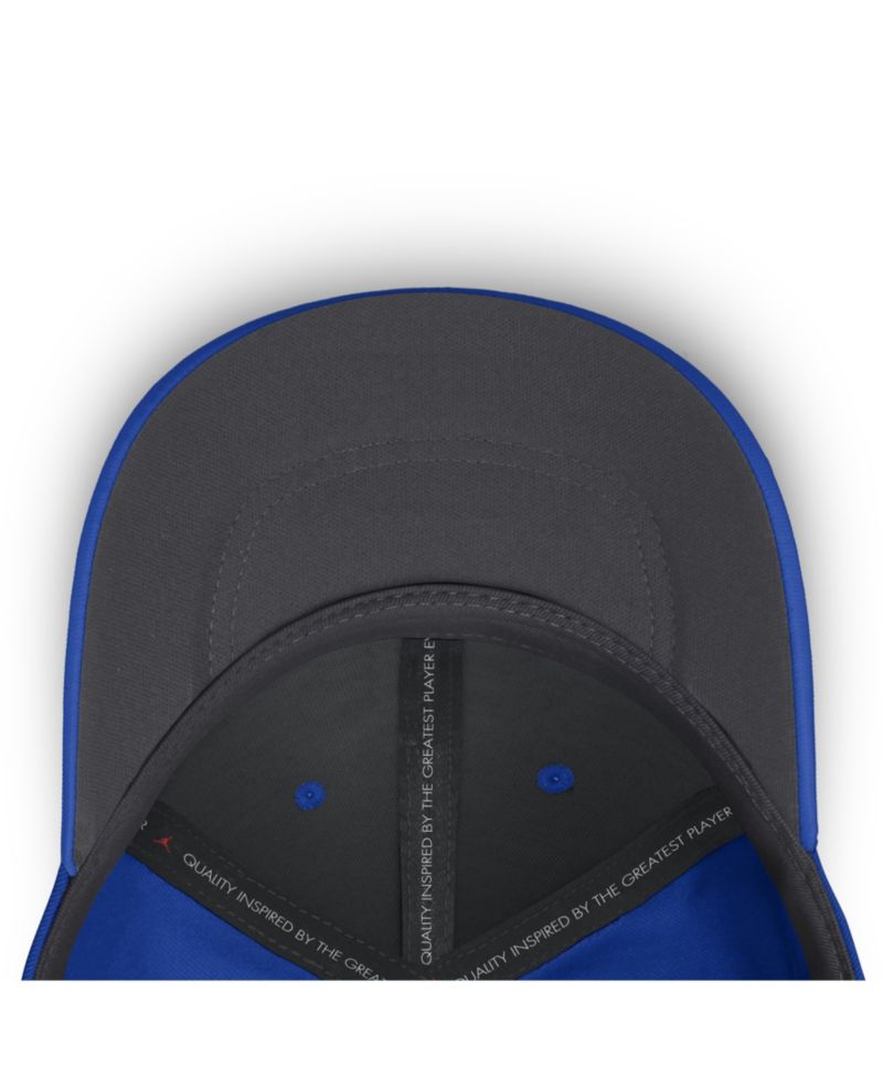 Men's Royal Florida Gators Gameday Aerobill Swooshflex Dri-FIT Hat
