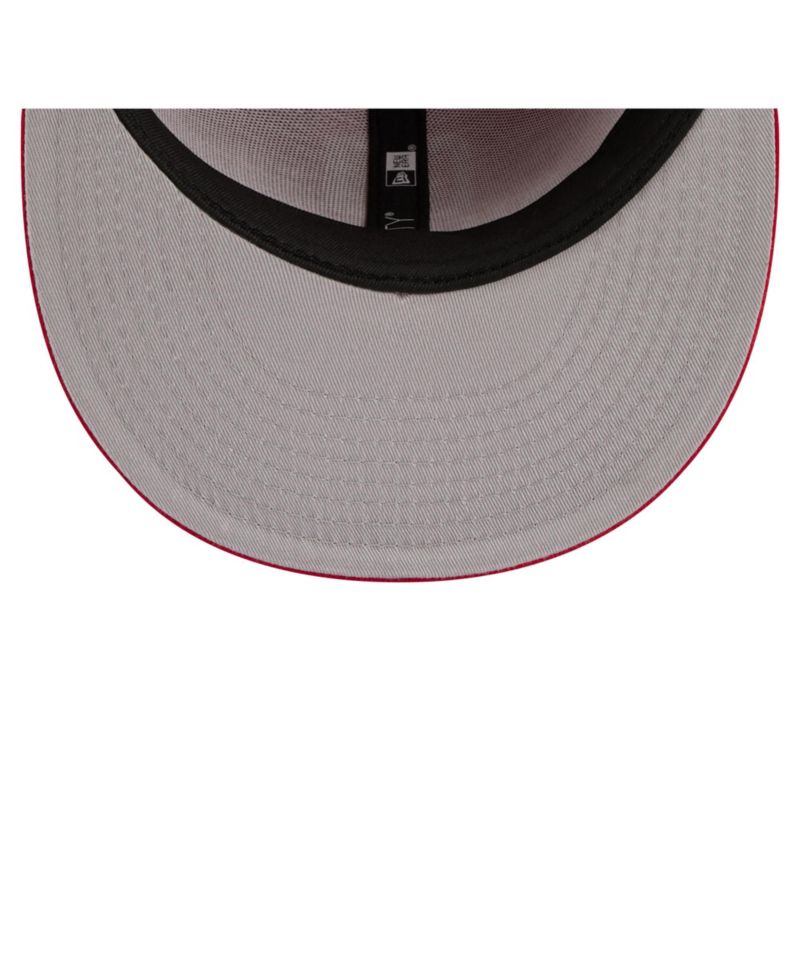 Men's Scarlet Ohio State Buckeyes Go Team 9FIFTY Snapback Hat