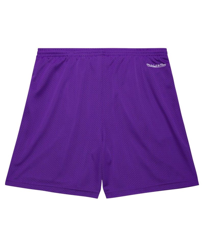 Men's Purple Toronto Raptors Hardwood Classics Gameday Mesh Shorts
