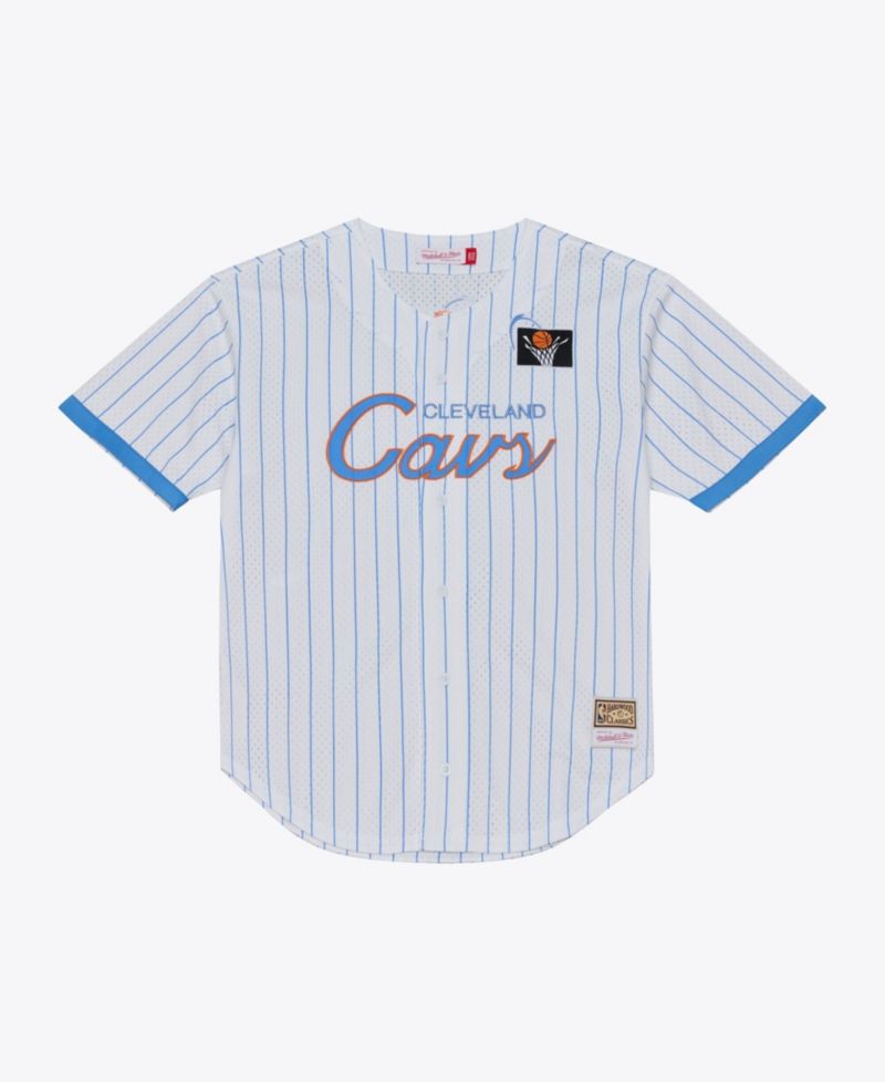 Men's White Cleveland Cavaliers Head Coach Pinstripe Mesh Full-Button Baseball Jersey