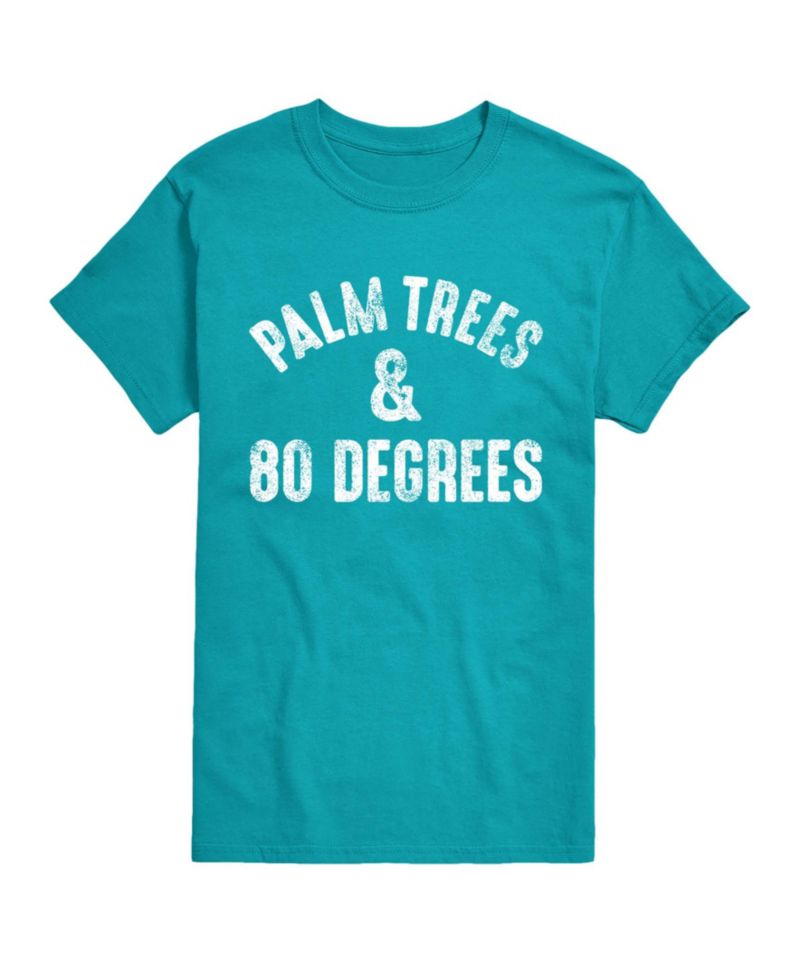 Men's Instant Message Palm Trees And 80 Degrees Graphic T-Shirt