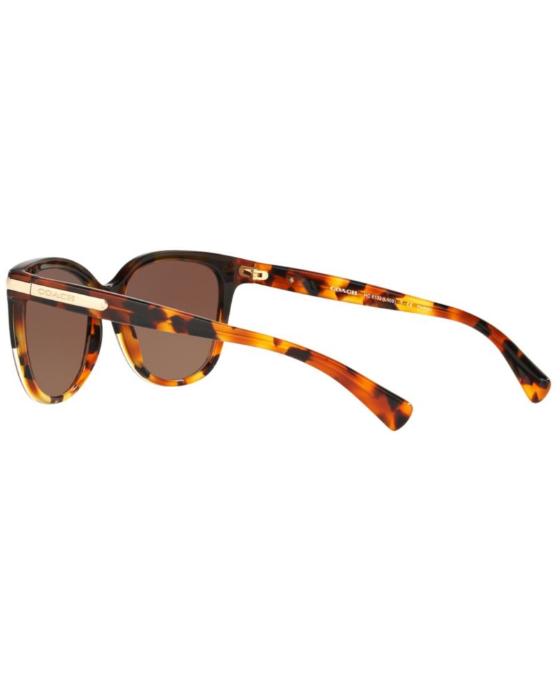 Polarized Polarized Sunglasses , HC8132