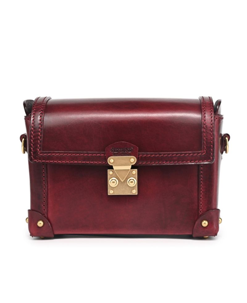 Azalea Vintage Case Crossbody Bag