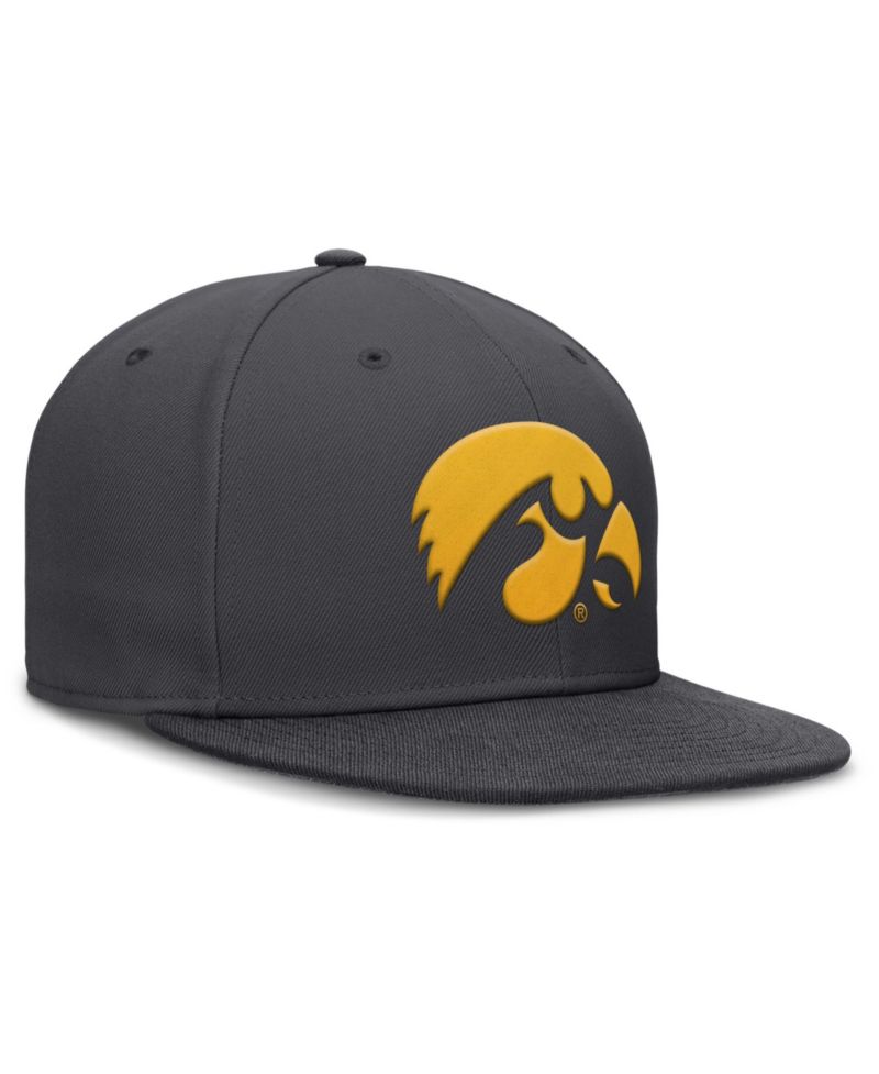 Men's Anthracite Iowa Hawkeyes Pro Dri-FIT Fitted Hat