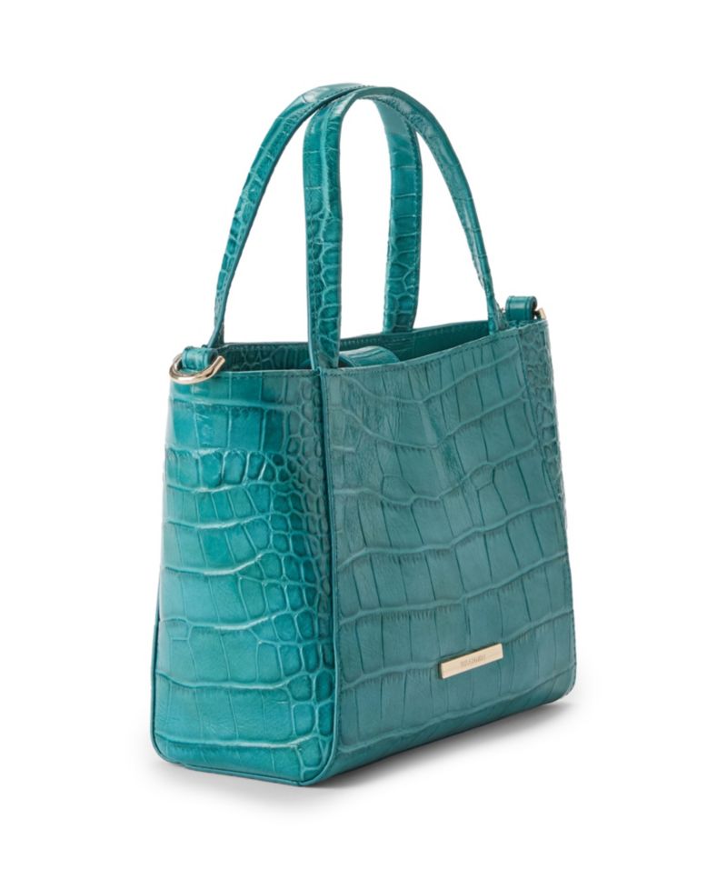 Mona Alba Small Leather Crossbody Tote Handbag