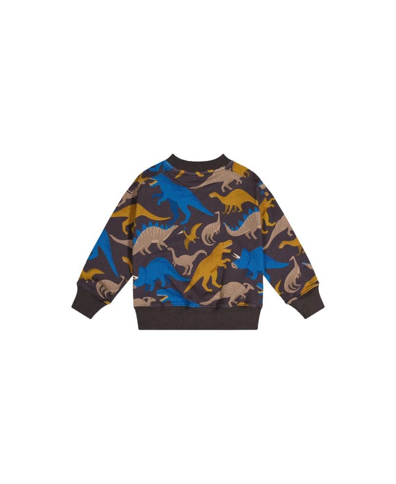 Little Boys (6-12) Fleece Sweatshirt