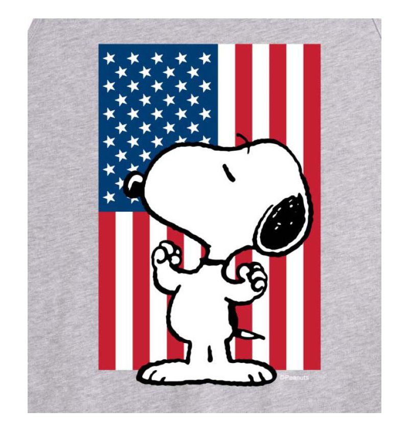 Hybrid Apparel Peanuts Flag Mens Jersey Tank