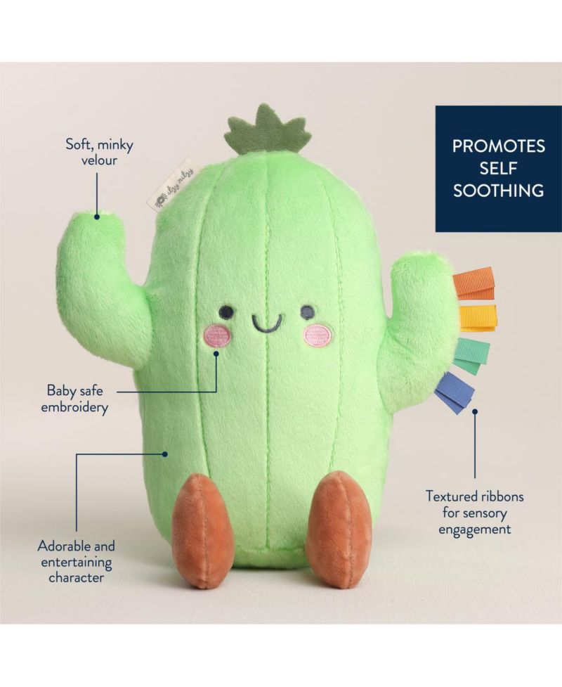 Baby Sweetie Snuggles Cactus