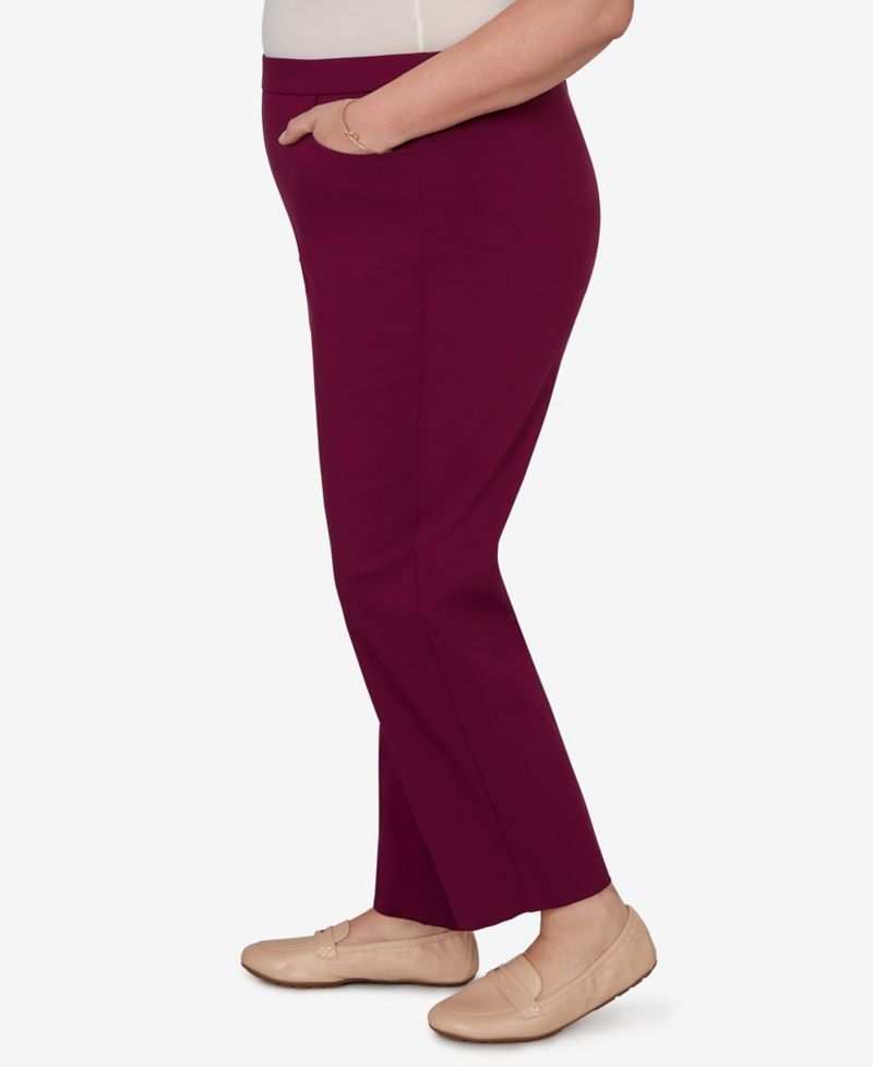 Plus Size Colored Allure Stretch Pants