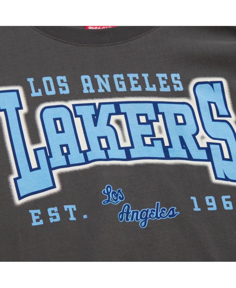 Women's Charcoal Los Angeles Lakers Hardwood Classics Oversized Boyfriend T-Shirt