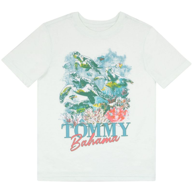 Boys 2 Piece Casual Crewneck T-Shirt Bundle Set