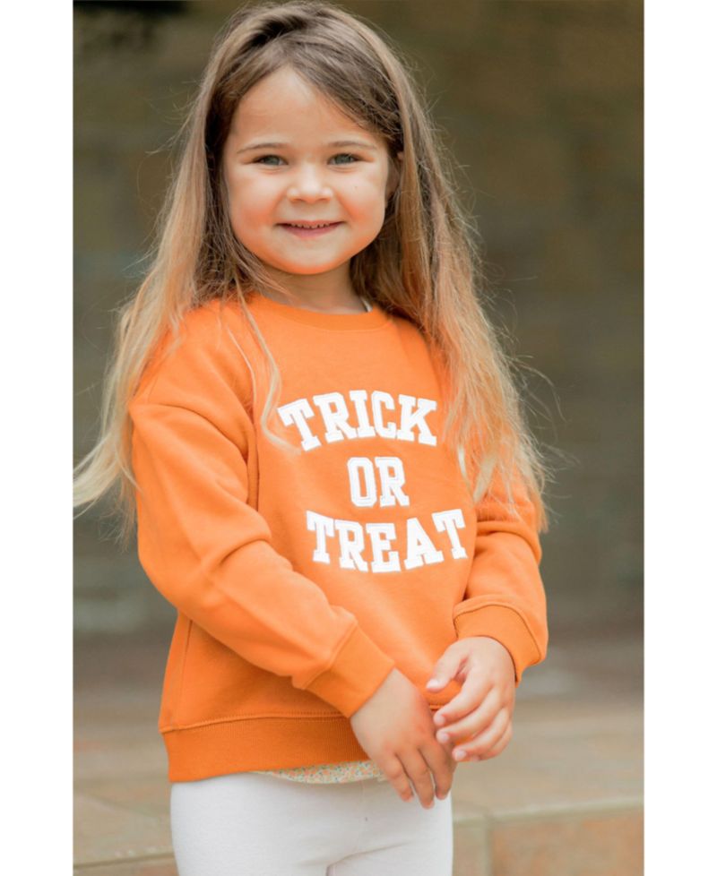 Toddler Unisex Trick-or-Treat Halloween Sweatshirt