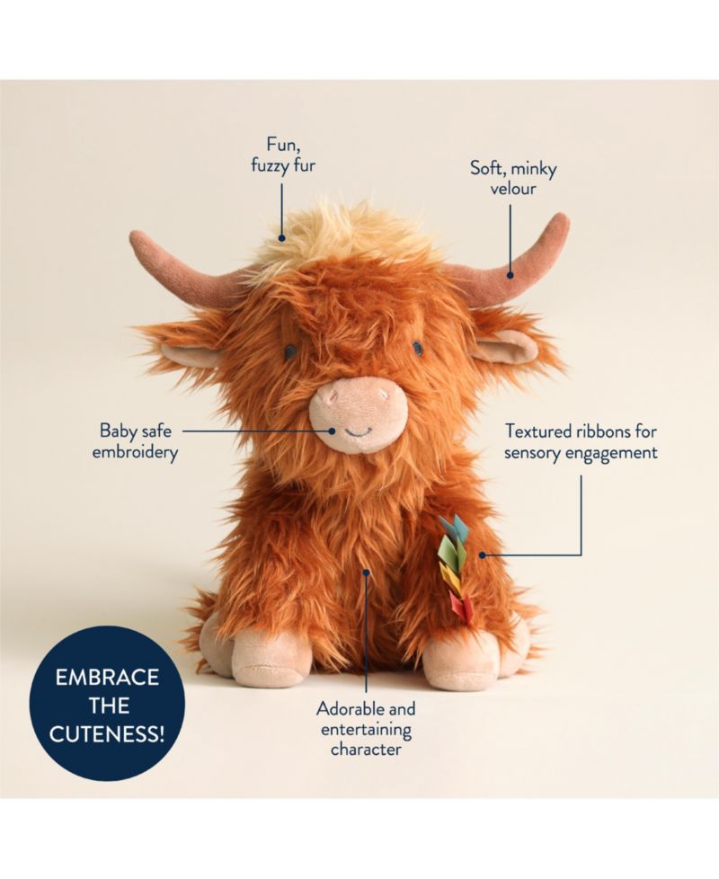 Baby Sweetie Snuggles Highland Cow